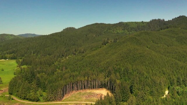 Drone shot of a forrest near Portland Oregon 