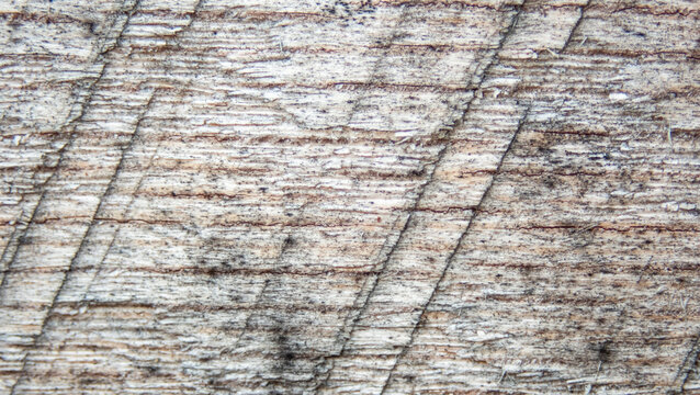 Closeup of wood cut by a buzzsaw which forms a pattern