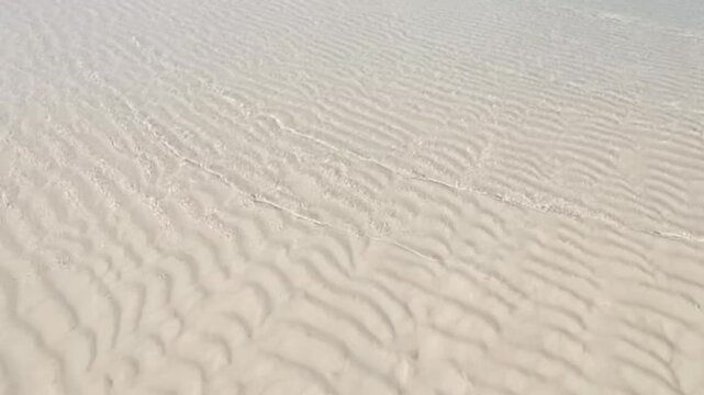 Sand ripples texture on a beach or ocean floor