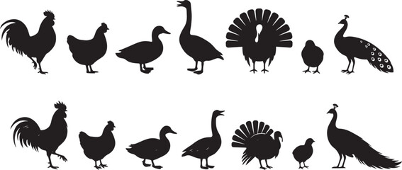 farm birds silhouette set poultry. silhouette Vector illustration © Misho x Mamun