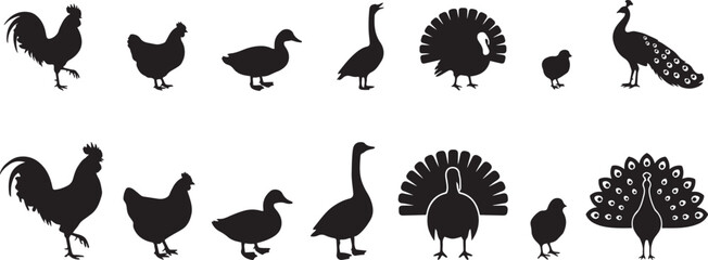 farm birds silhouette set poultry. silhouette Vector illustration © Misho x Mamun
