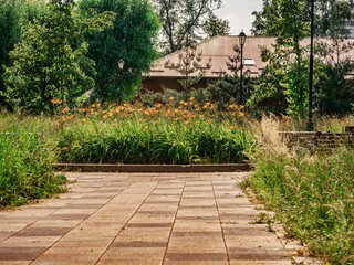 Fototapeta premium Stone paved path leading to orange daylilies in a sunlit public park