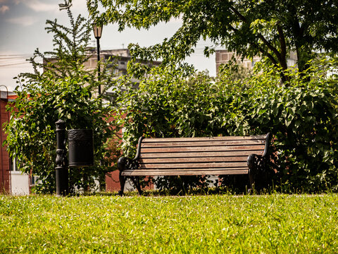 Empty wooden park bench and trash bin on green grass in a sunny city park with buildings behind.