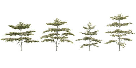 Fototapeta premium Set of Cornus trees on transparent background