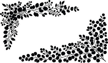 Elegant eucalyptus branch and leaves frame design on a white background silhouette © Shakil