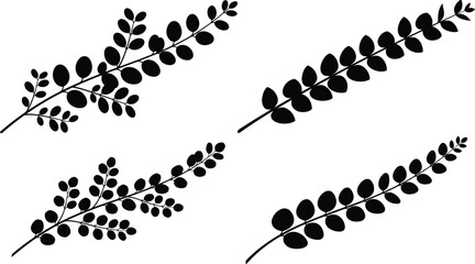 Four black eucalyptus branch silhouettes on a white background silhouette © Shakil