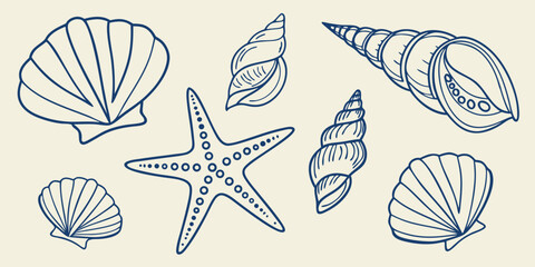 Set of hand drawn seashells and starfish, marine life collection, nautical design elements, vector illustration © Marjahan