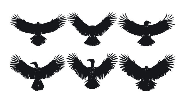 Vulture silhouette collection, set of 6 black condor bird icons in flight, predatory scavenger bird vector graphics on white background