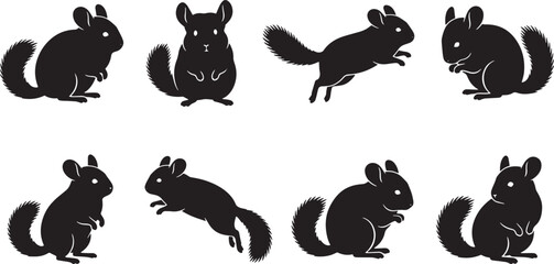 Fototapeta premium Squirrel icons, black vector silhouettes, animal graphics, wildlife illustrations, rodent symbols isolated on Transparent Background