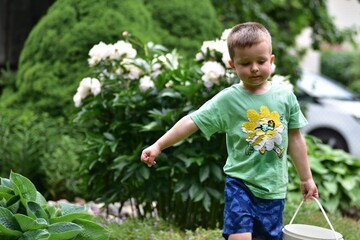 Little boy carrying a white bucket while walking through a lush blooming summer garden. Happy childhood outdoors surrounded by colorful flowers and greenery, enjoying nature, family life © Karolina