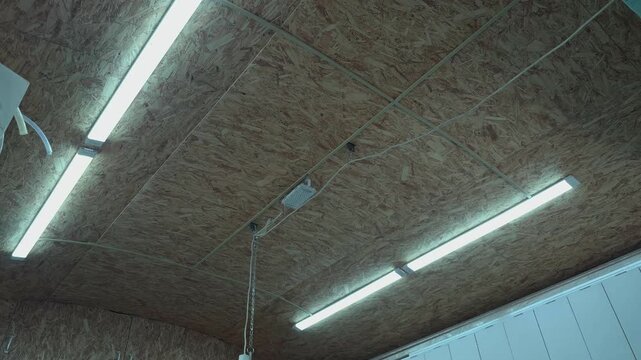 LED Tube Lights Turning On Illuminating Oriented Strand Board OSB Ceiling In Authentic Home Workshop Or Garage. Low Angle Establishing POV Shot Of Private Maker Space Wooden Texture Interior