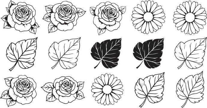 Floral Elements collection with hand drawn outline daisies and roses with leaf patterns isolated on white
