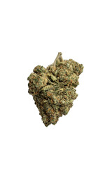 Obraz premium Marijuana flower isolated on white background