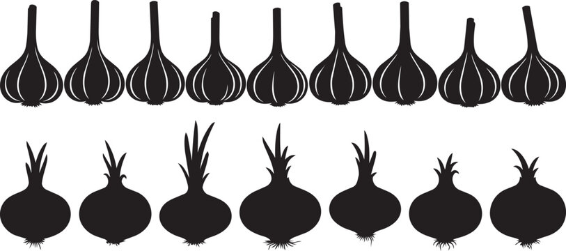 Garlic and onion silhouettes in two rows against a white background illustrating variety