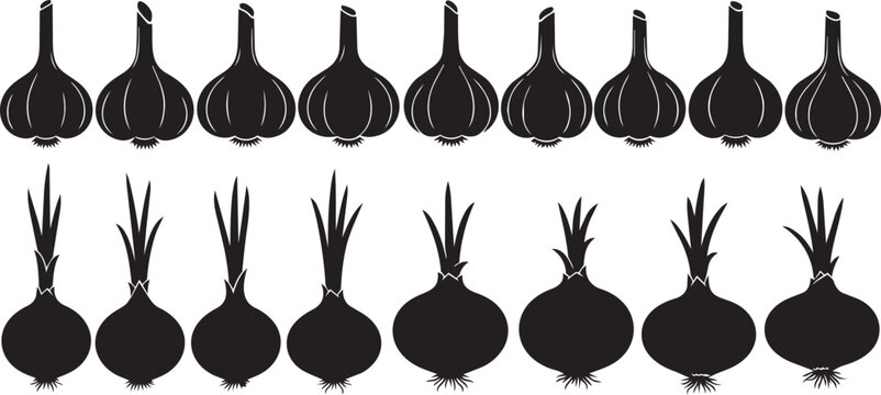 Garlic and onion silhouettes arranged in two rows on a white background for healthy cooking concepts