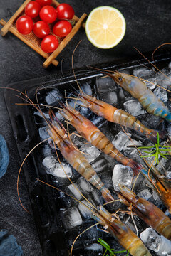 Fresh Giant River Prawns on Ice with Tomatoes and Lemon