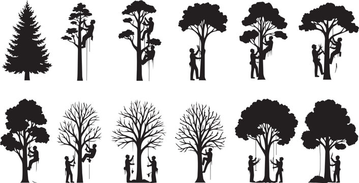Silhouettes of arborists climbing diverse trees against a white background in a graphic style
