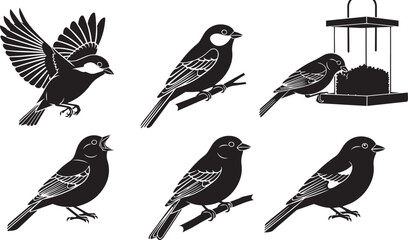 Six diverse bird silhouettes in various poses on a clean white background © SD DESIGN STUDIO
