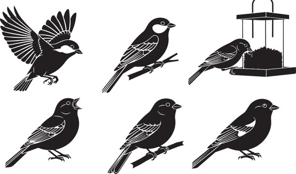 Six diverse bird silhouettes in various poses on a clean white background