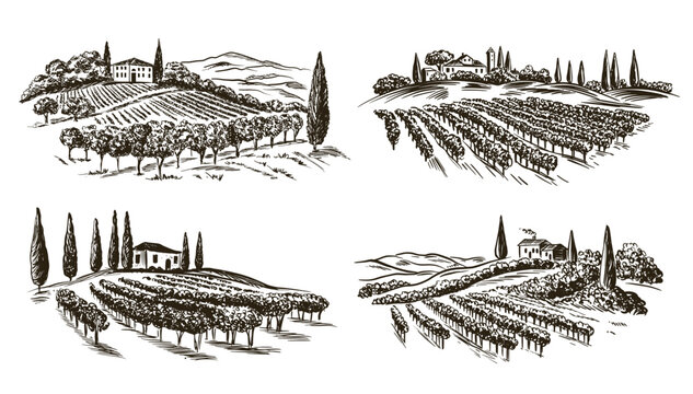 Vineyard landscape with building on the hill hand drawn, set.	
