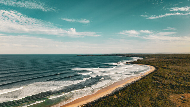 Aerial view of the coastline at Berrara, featuring rolling waves breaking on the sandy beach, bordered by dense coastal vegetation, Berrara, New South Wales, Australia.