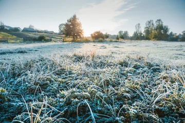 Fantastic frost-covered field in the early morning light with a clear sky and vivid grass glistening in the sun. © Leonid Tit
