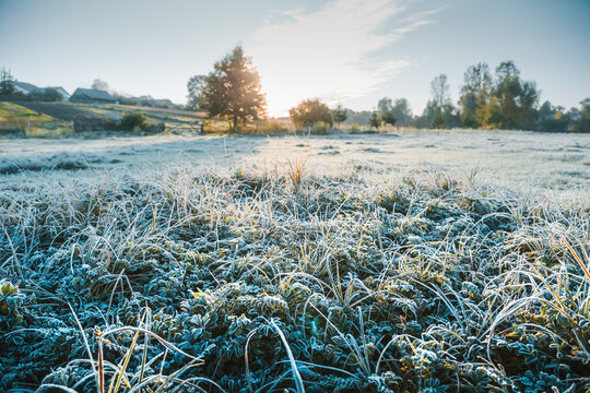Fantastic frost-covered field in the early morning light with a clear sky and vivid grass glistening in the sun.
