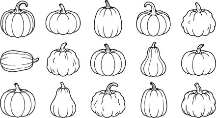 Variety of hand drawn pumpkin and squash line art collection © MstAyesa