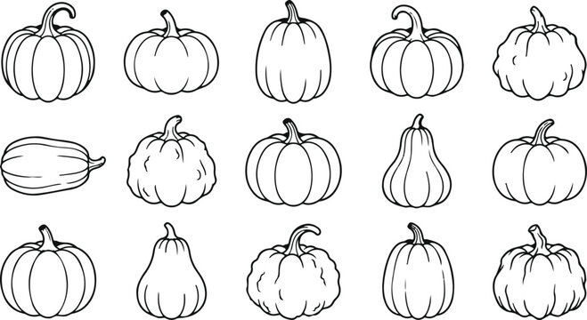 Variety of hand drawn pumpkin and squash line art collection