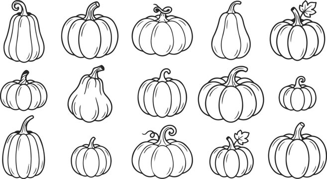 Black and white line drawing illustrations of various pumpkins and gourds