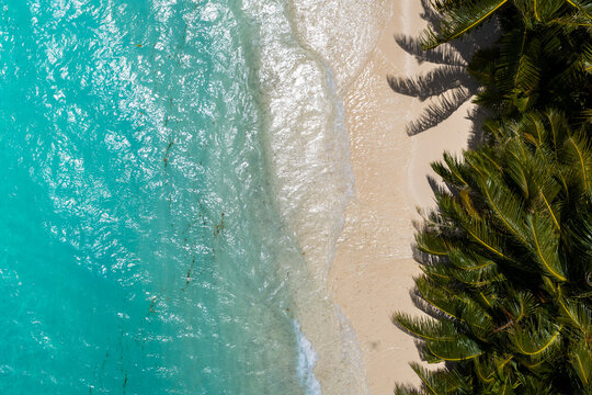 Aerial midday view of Dhigurah Island, Maldives, where turquoise lagoon waves lap white sand, palm fronds cast feathery shadows, and gentle surf patterns shimmer in clear weather.