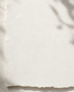 Recycled Paper Pulp Background With Subtle Fiber Texture
