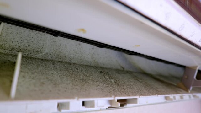 Black mold and mildew colonies grow inside a dirty wall-mounted split air conditioner unit. The internal plastic surface of the home appliance is covered with dangerous toxic spores.