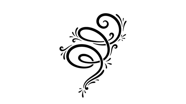 Elegant flourish design on a white background decorative swirl element for ornate patterns and embellishments