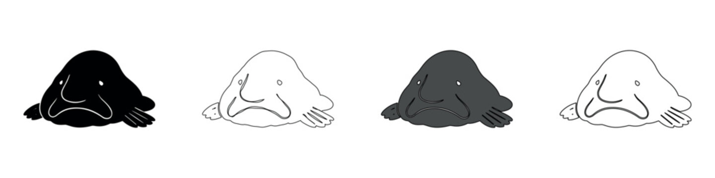 Blobfish illustrations in black and white and grayscale variations