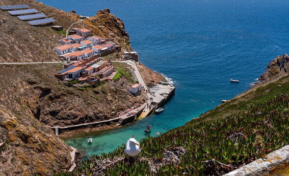 taking a day ferry trip to Berlunga Island, Portugal