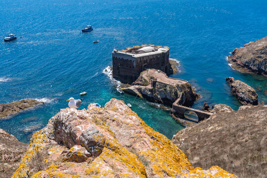 taking a day ferry trip to Berlunga Island, Portugal