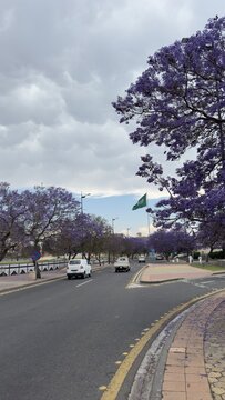 Abha