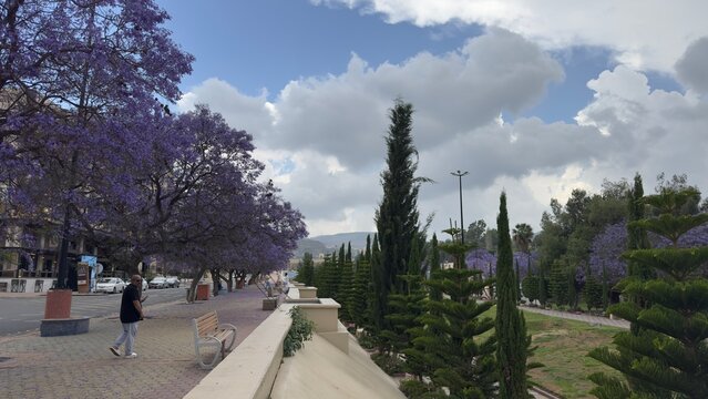 Abha