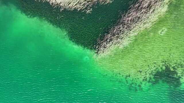 Aerial top down view of Antela lagoon shoreline