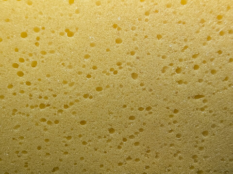 Golden Sponge Foam Texture with Fine Porous Detail for Cleaning and Abstract Background Applications