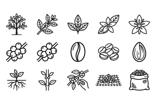 Black and white floral vector icon set with flowers, leaves, fruit and apple elements, vintage seamless botanical pattern illustration, sketch style nature decoration symbols