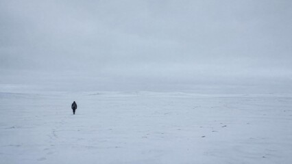 Fototapeta premium Solitary Hiker Walking Across Vast Arctic Tundra Snow Landscape