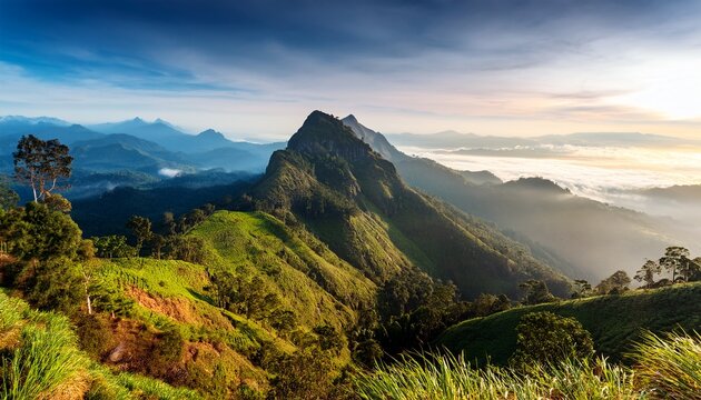 sri pada mountain sri lanka