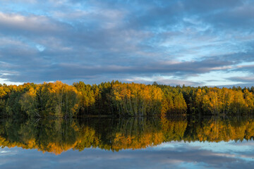 Naklejka premium Autumn trees reflecting in calm pond water, Chlum u Trebone