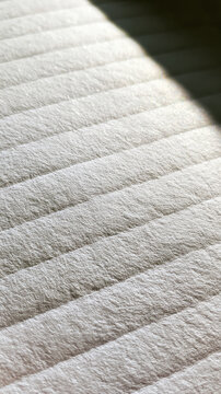 Blank notebook paper texture morning sunlight visible paper fiber natural surface imperfection minimalist composition empty space no text no people film grain macro detail