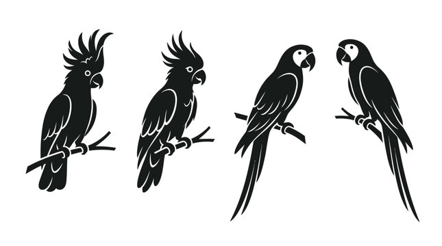 Four black silhouette vector illustrations of tropical parrots perched gracefully on small wooden tree branches
