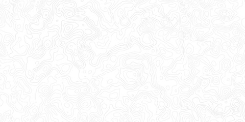 Abstract white topographic contour map background with wavy elevation lines, geographic terrain pattern, vintage outdoors style, world map template, paper texture and modern vector relief design © Noor Al Barakah