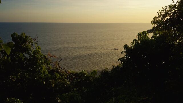Calm Ocean Surface Viewed Through Dense Tropical Jungle Foliage Near Coastal Cliffs at Sunset