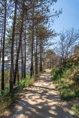Obraz premium Curve road to the mountains. Scenic dirt road with mountain range.